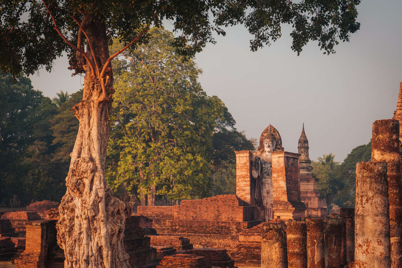 Capture the vibrant beauty of Sukhothai in the dry season